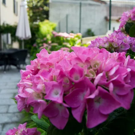 Giardino Delle Ortensie アパート *